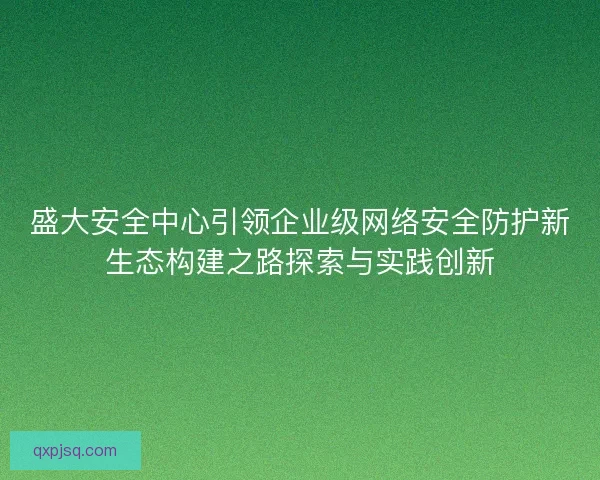 盛大安全中心引领企业级网络安全防护新生态构建之路探索与实践创新