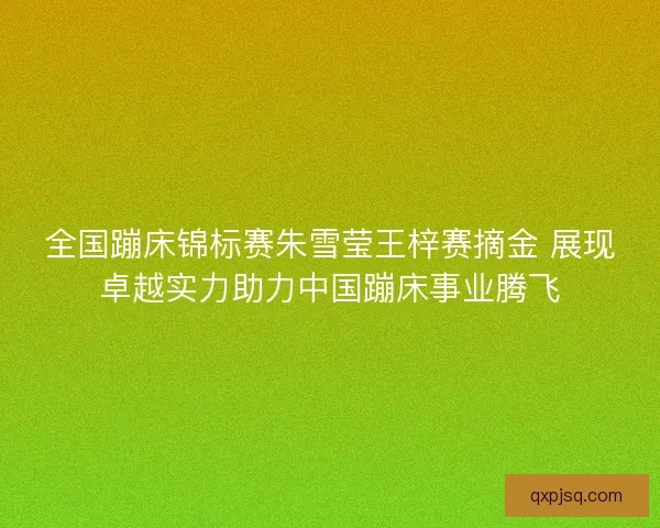 全国蹦床锦标赛朱雪莹王梓赛摘金 展现卓越实力助力中国蹦床事业腾飞